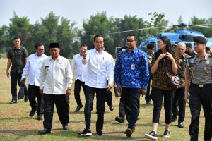 Presiden RI tinjau proyek di patimban Subang