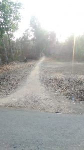 Terindikasi Semau Dewek  Mangkrak Ditetapkan100%