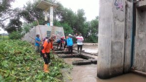 Kang Jimmy Bersihkan Eceng Gondok Bendungan Cidaroak