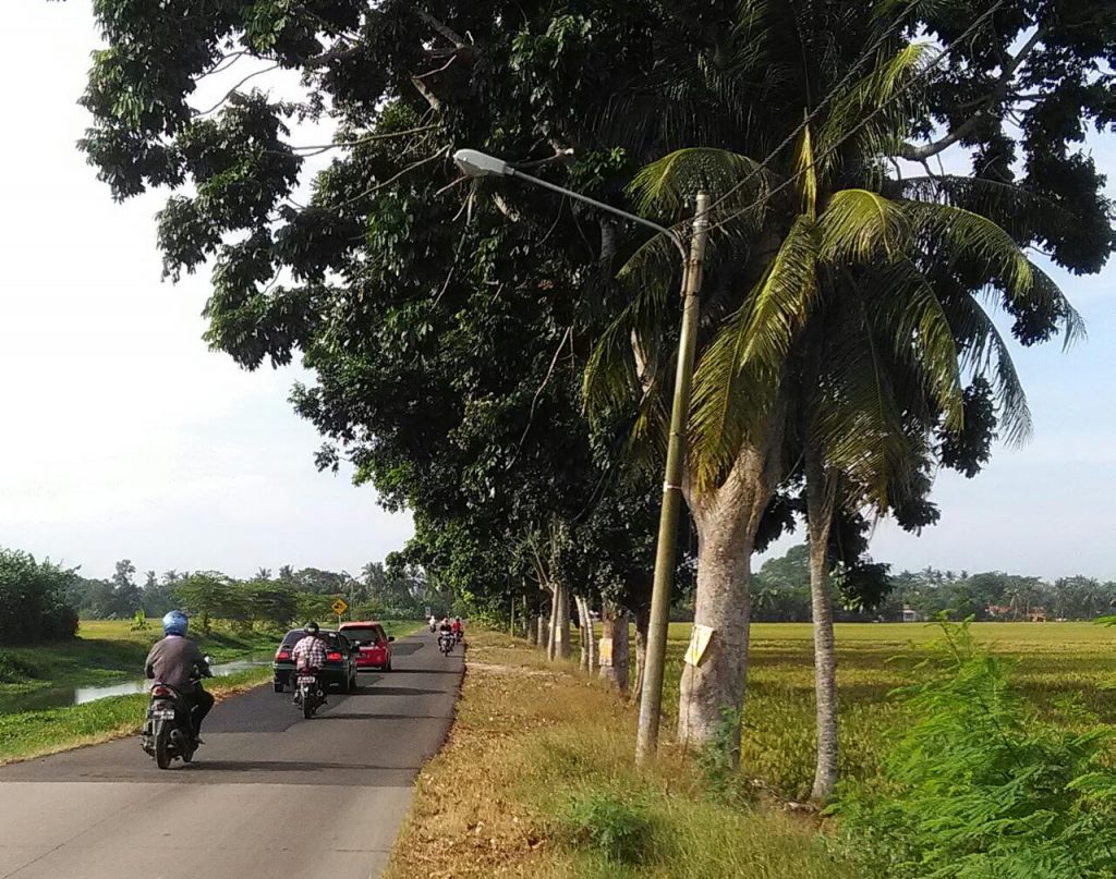 Susu Tante Jalan Layapan Kembali Nampak