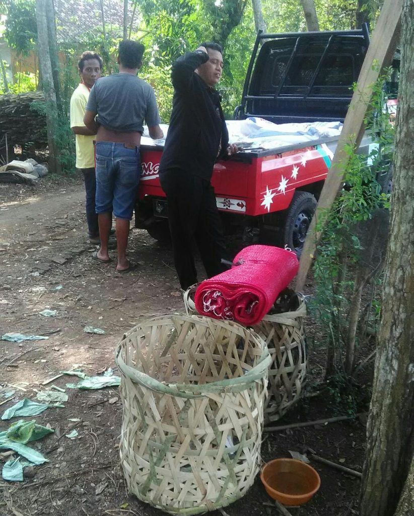 Pemburu Sirung Dilumbung Padi Jawa Barat Hasilkan Nasi Diminati