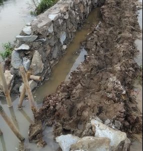 Penurapan Saluran Irigasi Desa Kedawung Disinyalir Dikerjakan Asdi