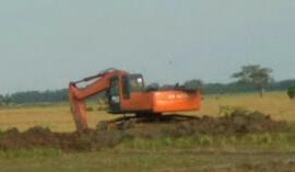 Normalisasi Disambut Baik Para Petani Lumbung Padinya Jawa Barat