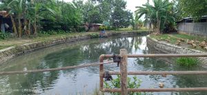 Sebelum Tiba Musih Hujan Masyarakat Minta Saluran Irigasi Di Karang Tengah di Normalisasi. 