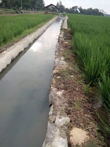 Banyak Proyek Fisik Desa Cadaskertajaya Di Duga Mangkrak