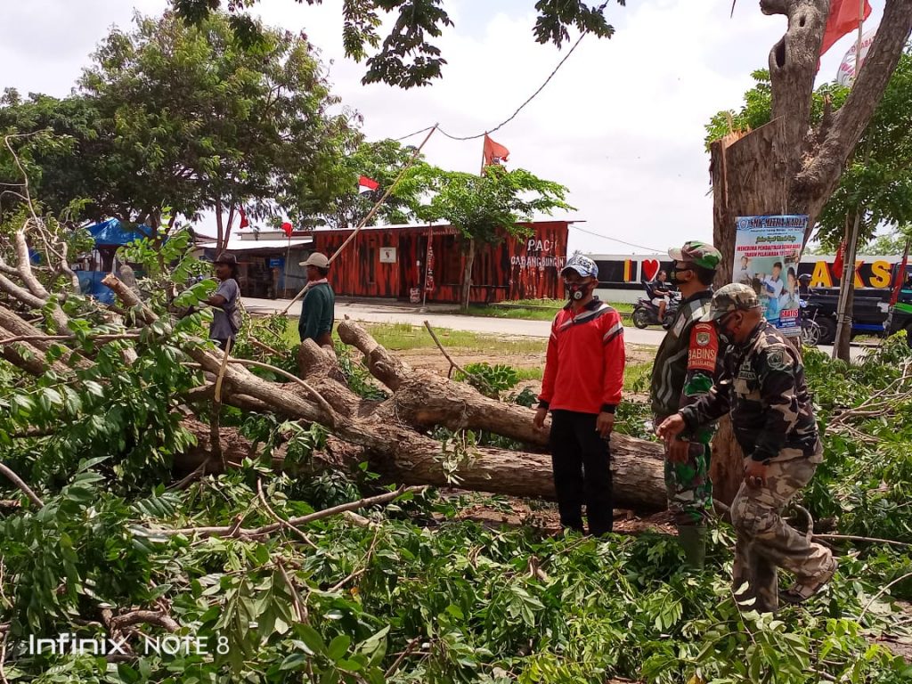 DINILAI MEMBAHAYAKAN, BABINSA BERSAMA APARAT DESA DAN WARGA KARYA BAKTI PENEBANGAN POHON