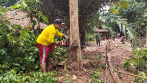 WARGA DESA MENEBANG POHON DI LOKASI TMMD KE 110