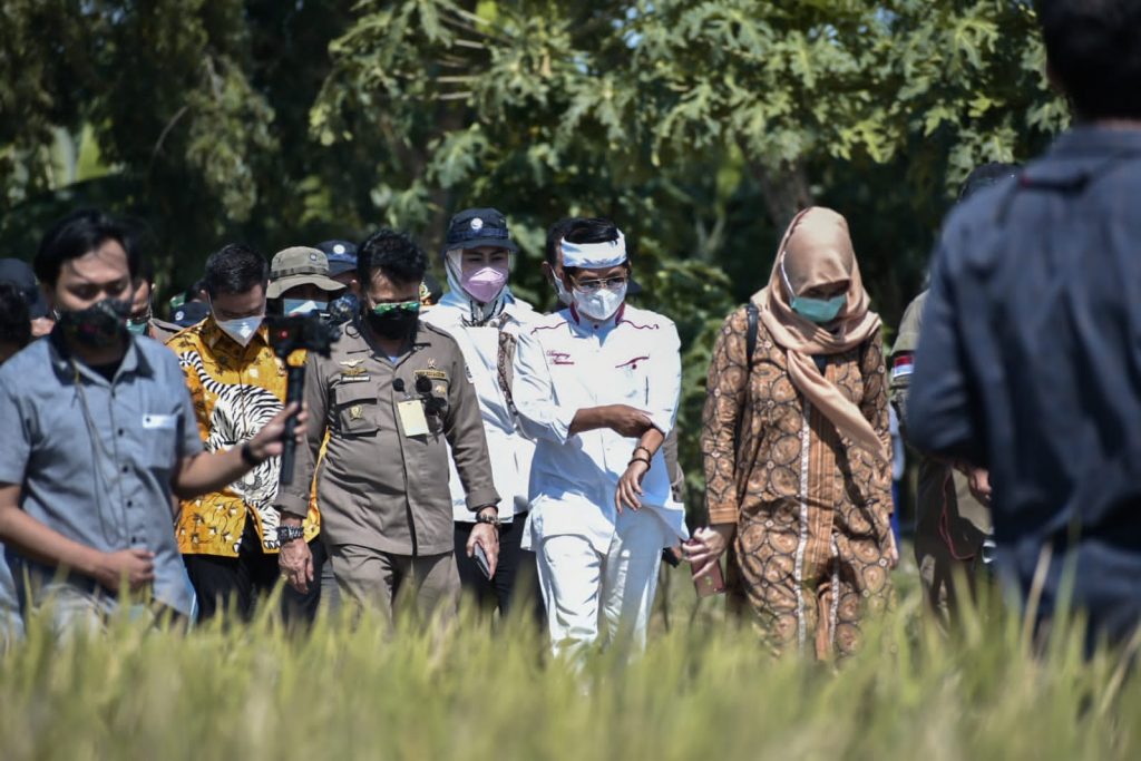 Menteri Pertanian RI Berkunjung ke Desa Telarsari demi Meninjau Panen Raya