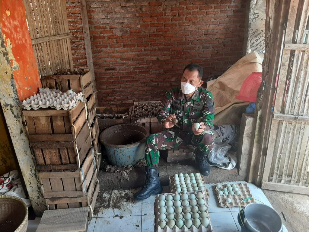 DANRAMIL 03/CABANGBUNGIN BERSAMA BABINSA KUNJUNGAN KE HOME INDUSTRI TELUR ASIN