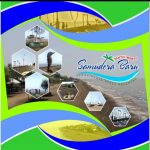 DI BUKA KEMBALI WISATA PANORAMA SAMUDRA BARU DI KUNJUNGI WISATA LOKAL MAUPUN LUAR DAERAH