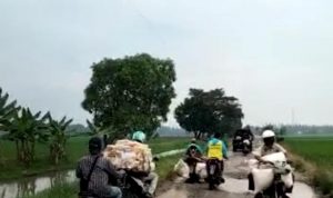 Masyarakat Berharap Pemkab Karawang Segera Lakukan Perbaikan Jalan Poros Desa Ini