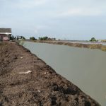 PROYEK NORMALISASI SALURAN IRIGASI DI APRESIASI WARGA KARANGMULYA SEGARJAYA