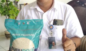 Antisipasi Musim Penghujan Hingga Gagal Panen, Bulog Stok Beras Hingga 24 ribu Ton