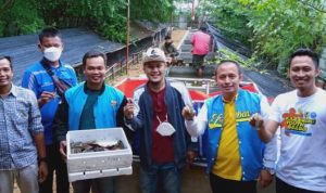 Purna Paskibra Indonesia  Karawang Berikan Bibit Lobster Kepda Pengurus  KNPI Kecamatan Pedes Dan Tempuran