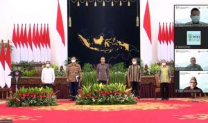 Ridwan Hisjam Usulkan Revolusi Energi Terbarukan Indonesia (Retina)