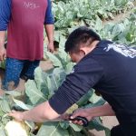 Asep Saepullah : Apresiasi Setinggi-Tingginya Kepada Karang Taruna Desa Kalibuaya