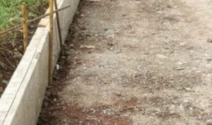 Pengecoran Rabat Beton Jalan Poros Desa Langgensari Diduga Dikerjakan Asal Asalan Tampa Pengawasan Dinas PUPR