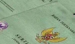 TIM SABER PUNGLI SEGERA EPALUASI DUGAAN PUNGLI PTSL 