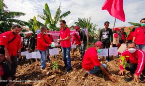 MEMPERINGATI HUT PDI PERJUANGAN,, DPC KABUPATEN BEKASI LAUNCHING GERAKAN SICITA DAN TANAM POHON