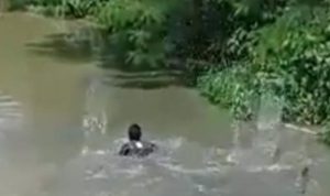 PELAKU CURANMOR BEBAK BELUR DI HAKIMI MASA