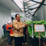 One Day One Product, Rutan I Medan Kanwil Kemenkumham Sumut Panen Tanaman Pakcoy Hidroponik