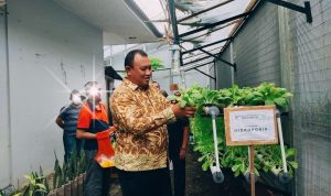 One Day One Product, Rutan I Medan Kanwil Kemenkumham Sumut Panen Tanaman Pakcoy Hidroponik