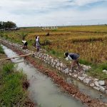 Masyarakat Desa Rengasdengklok Utara Sambut Baik Adanya Pembangunan Penurapan