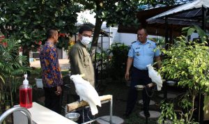 Kunjungi Rutan 1 Medan Kanwil Kumham Sumut, BBKSDA Apresiasi Ragam Flora Dan Fauna