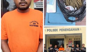 Simpan Ganja Warga Medan ditangkap Polsek Penengahan di Pelabuhan BBJ