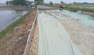 Di Duga Proyek Pengecoran Jalan Poros Ini Ada Kecurangan Pihak Pelaksana Dalam Pelaksanaanya