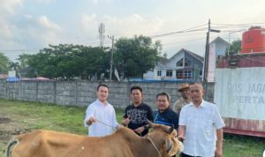 Anggota DPRD Medan Rizki Lubis Sembelih Hewan Qurban Di Masjid Silaturrahim