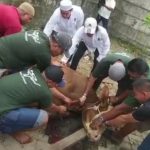 Ferdy Sembiring Sumbangkan 20 Sapi Kurban Untuk Masyarakat