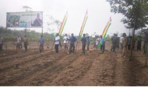 Tingkatkan Ketahanan Pangan di Wilayah Teritorial, Kodim 0603/Lebak Tanam Jagung Serentak Bersama Masyarakat