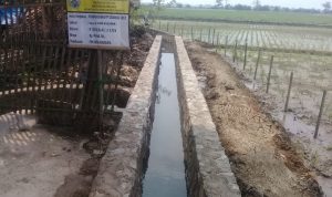 Realisasikan DD Tahap Dua Desa Kalibuaya Melakukan Pembangunan Di Dua Titik Lokasi Yang Berbeda