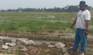 Pembangunan Tembok Penahan Tanah  Sungai/Drainase Utama Penyalinbanyu Di Awasi Langsung Pelaksana Pekerjaan