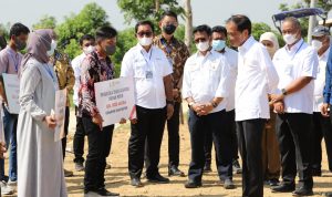 Disaksikan Presiden Jokowi, Kementan dan BNI Luncurkan Program Alsintan Perkuat Transformasi Agrikultur dan Food Estate
