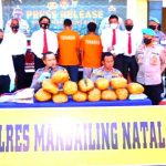 Polres Madina Gagalkan Penyeludupan Ganja 14,5 Kg