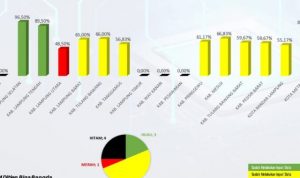 Inputing Data SPM Triwulan II Lampung Selatan Menjadi Yang Tertinggi Se-Provinsi Lampung