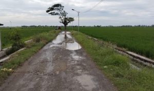 Seperti Anak Tiri Jalan Desa Mulyajaya Bertahun Tahun Rusak Tidak Ada Perbaikan Dan Perhatian Pemda Dan Dinas PUPR Karawang