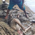 Jasad Sunandio Ditemukan Membusuk Di Bawah Jembatan Sungai Wampu