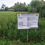 Proyek Pembangunan Saluran Air Dusun Sumurjaya 014/004 Desa Segaran Di Duga Tidak Ada Pengawasan