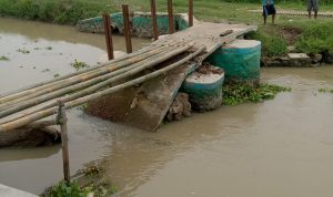 MENJELANG MUSIM PANEN PADI PETANI GIAT MEMPERBAIKI JEMBATAN YANG AMBRUK BERGOTONG ROYONG,
