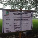Penurpan Saluran Air Desa Kutaraja Di Apresiasi Warga Masyarakat Petani Padi Pemdes Dan Karangtaruna