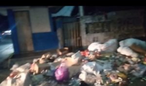 Warga Keluhkan Bau Busuk Menyengat Akibat Tumpukan Sampah
