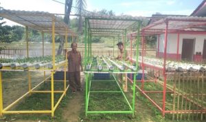 Dukung Ketahanan Pangan, SDN 1 Sangkanmanik Manfaatkan Lahan Tanam Sayuran Hidroponik