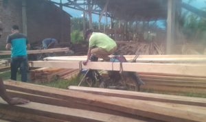 Kebal Hukum,Toke Kayu Ilegal Tantang Awak media “Datang Kesini Biar Tau Siapa Aku Bos