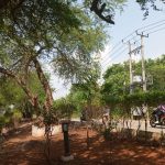 ISTIRAHAT DI BAWAH POHON RINDANG TAMAN KUPOH BIKIN ADEM  DAN NYAMAN