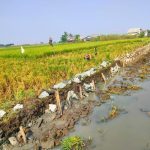 Kabid SDA Agar Sidak Proyek Di Kalidungjaya Jangan Hanya Diam Di Kantor Saja