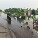 Pendangkalan Saluran Irigasi Dusun Iplik Akibatkan Air Meluap Ke Jalan Raya dan Pemukiman