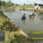 Akhirnya Perum Jasa Tirta Wilayah II Lakukan Pembersihan Saluran Irigasi Iplik
